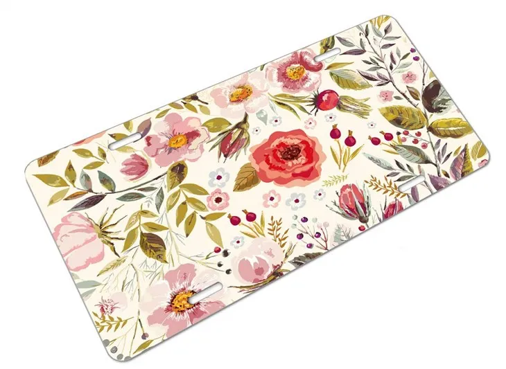 Plaque d'immatriculation en métal estampé brillant